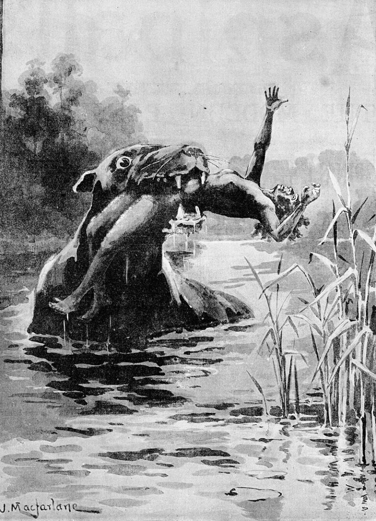 Bunyip_1890