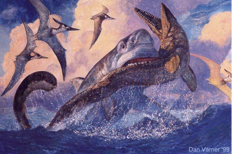 megaladon