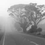 roadwraith