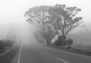 roadwraith