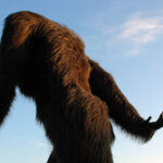 yowie.thumbnail