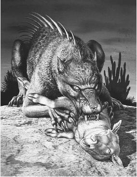 chupacabra