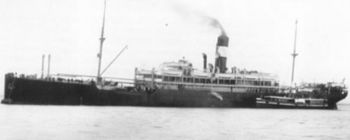 waratah1909
